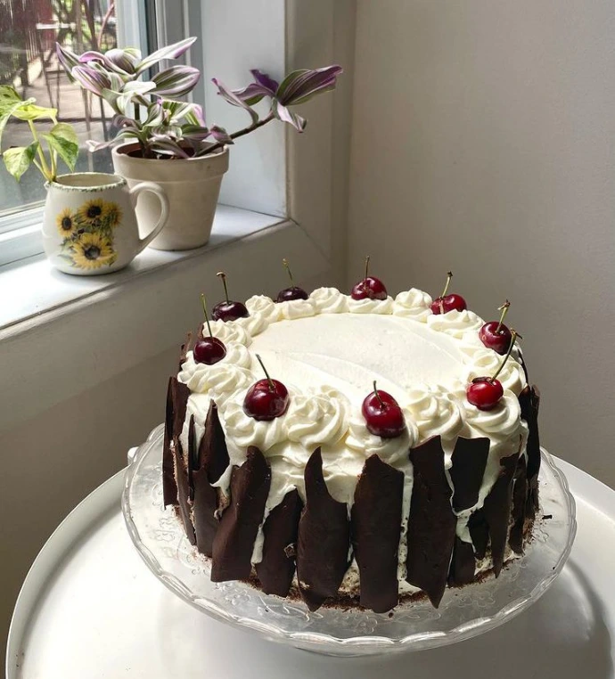 black forest cake soft chococlate cake layers, fresh cream ,and cherries bakinglove